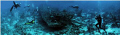   Wreck safariboot safari-boot safari boot  